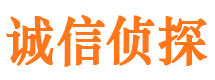 九龙市侦探公司